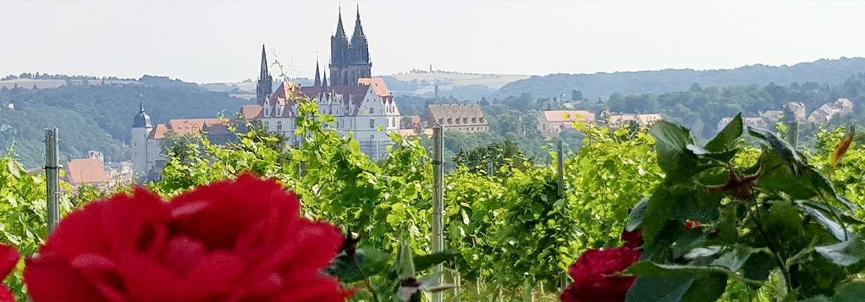 Weinberge & Weinbergshaus